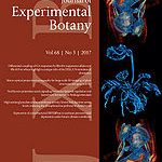 Journal of Experimental Botany cover